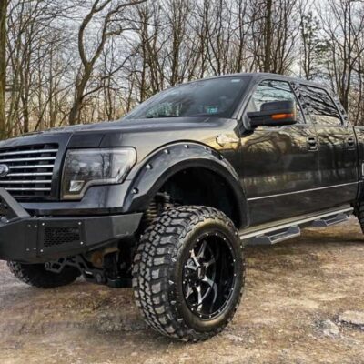 6 Inch Lift Kit | N3 Struts | Ford F-150 4WD (2014)